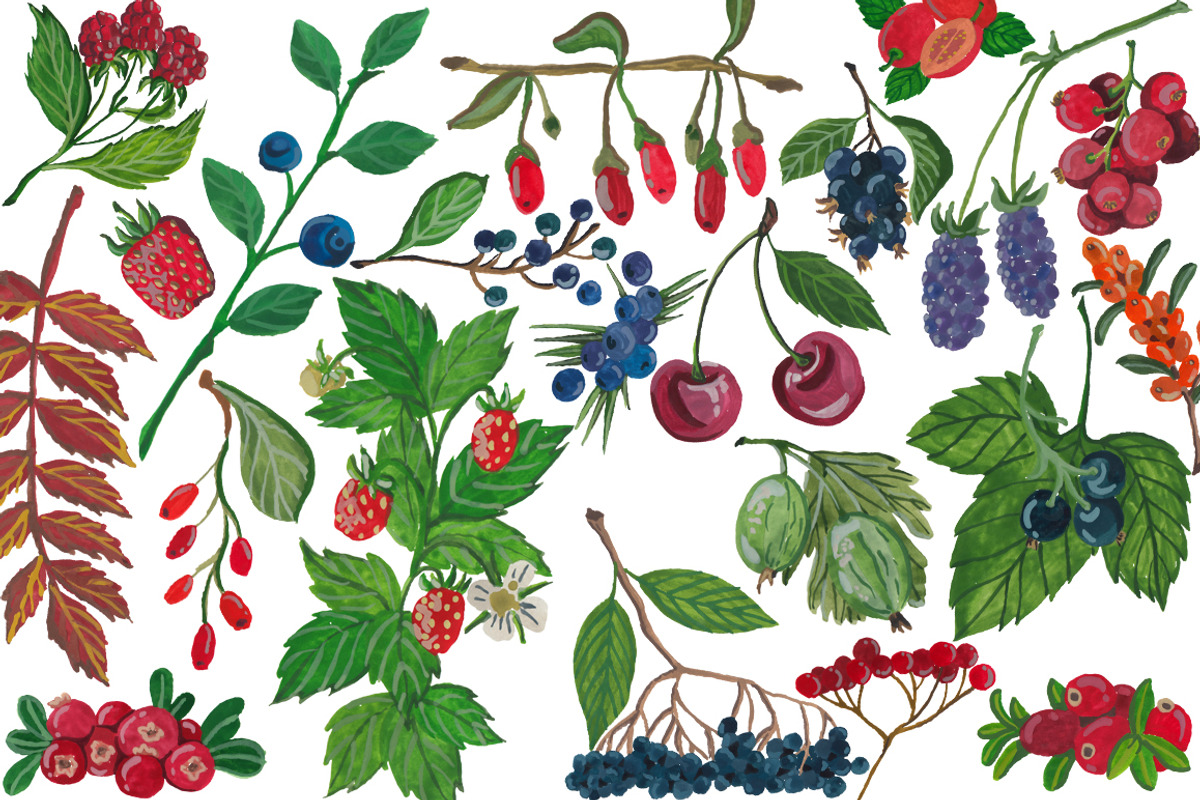 Berry set, hand drawn, gouache, an Illustration by risovanya (Photo 2 of 2)