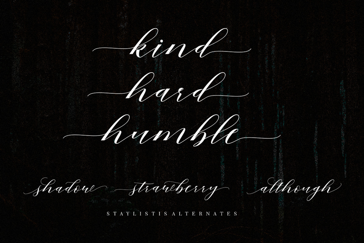 Mahogany Script, a Script Font by Areatype (Photo 7 of 8)