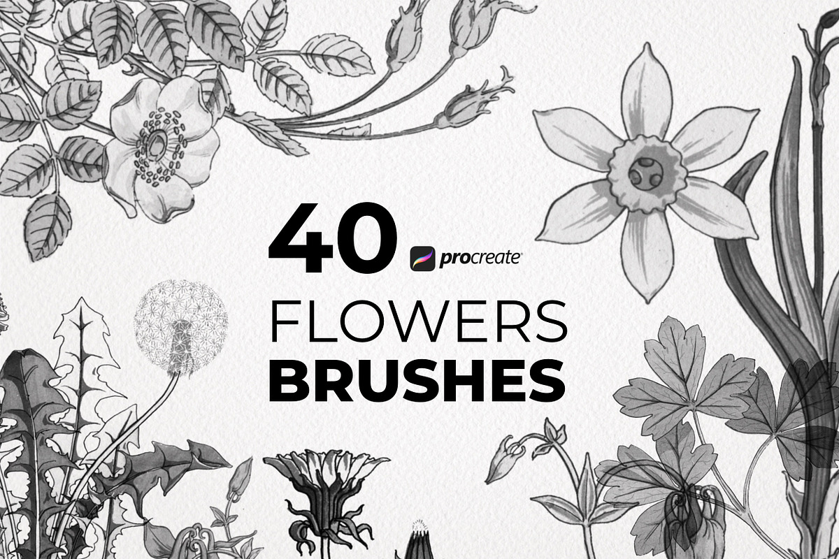 Procreate Floral Brushset Botanice, a Brush Add-On by Procreate Market (Photo 1 of 7)