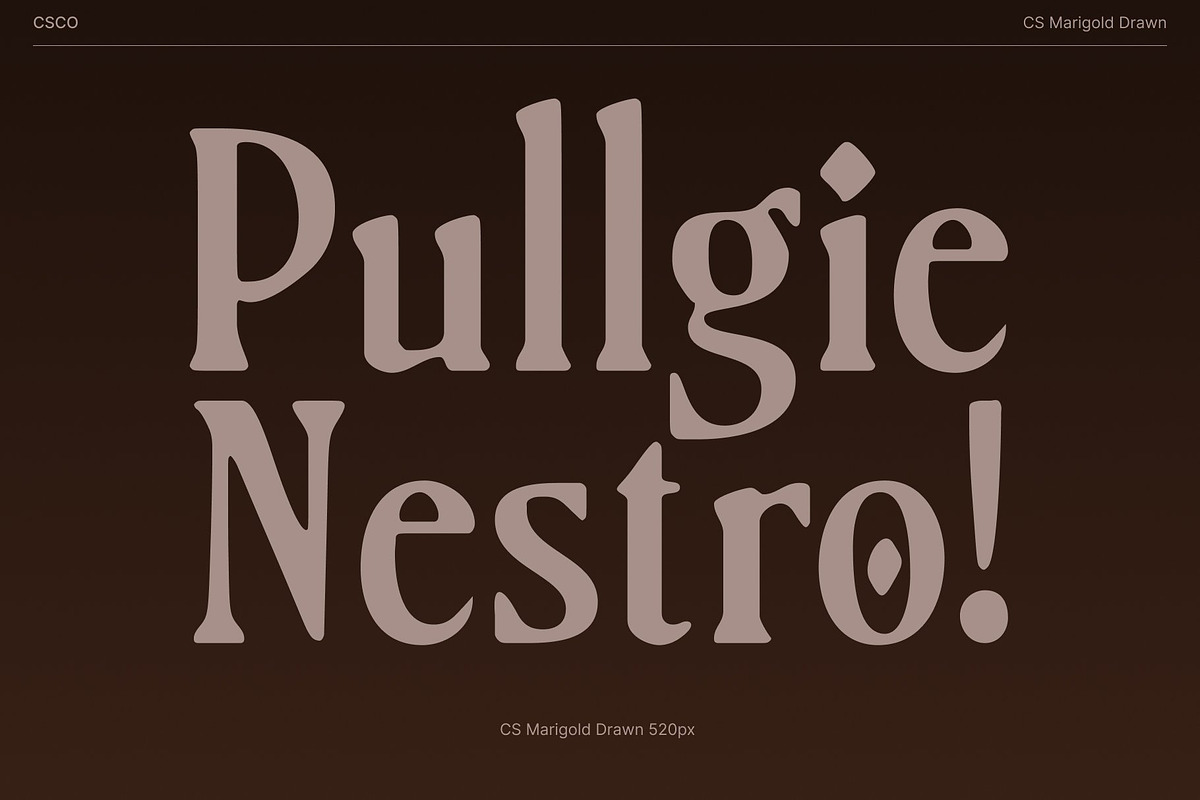 CS Marigold Drawn, a Serif Font by Craft Supply Co. (Photo 4 of 8)