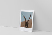 Instant Photo Mockup Bundle, a Mockup by KIPET (Thumbnail 30 of 34)