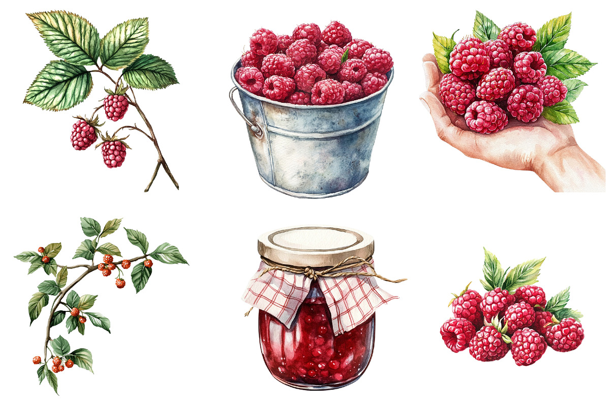 Watercolor Raspberry Clip Art, an Illustration by Watercolor design (Photo 4 of 4)