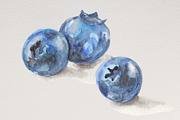 Watercolor Blueberries, an Illustration by R.Ewers Designs (Thumbnail 2 of 3)