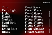 Vioneta Sloane – Serif Font, a Serif Font by roomspace creative lab (Thumbnail 5 of 14)