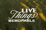 Norhaven, a Serif Font by din-studio.com (Thumbnail 5 of 16)