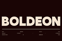 Boldeon Modern Typeface Font