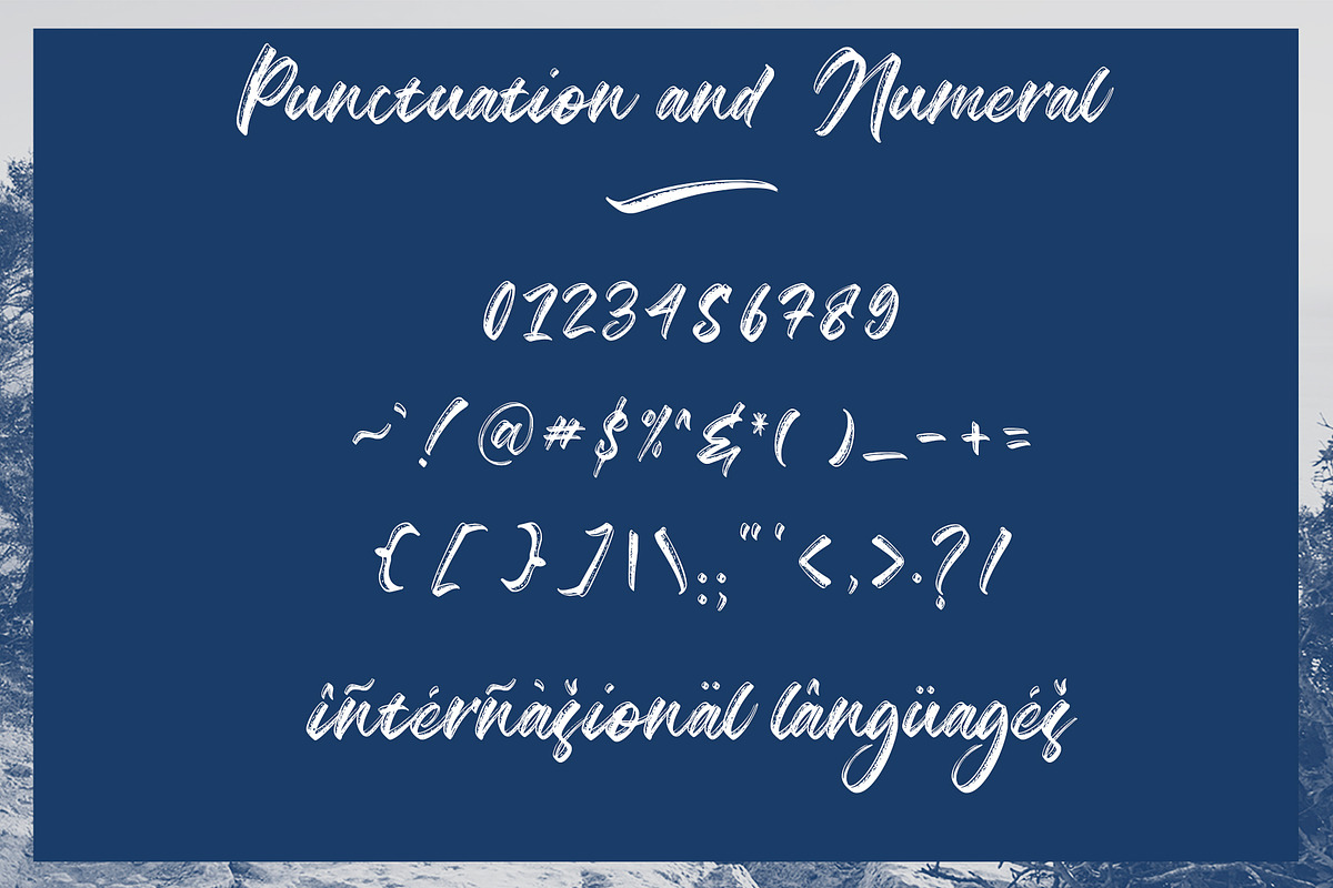 Agathias, a Script Font by Cepeye (Photo 11 of 11)