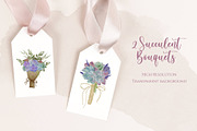 Seasonal Succulents, a Seasonal Illustration by Maggie Stilwell Design (Thumbnail 7 of 13)