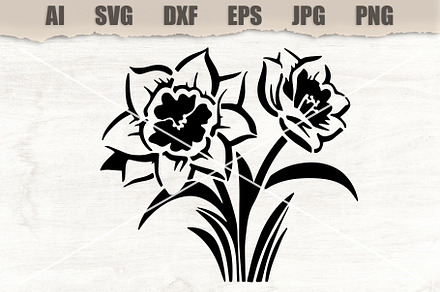 Stencil Narcissus