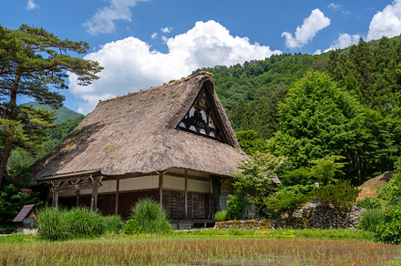 Traditional houses and rice fields in Shirakawa-go, rural Japan, an Architecture Photo by GoodGoods