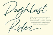 Peglastone Handwritten Ink Font, a Script Font by Letterena Studios Script (Thumbnail 19 of 20)