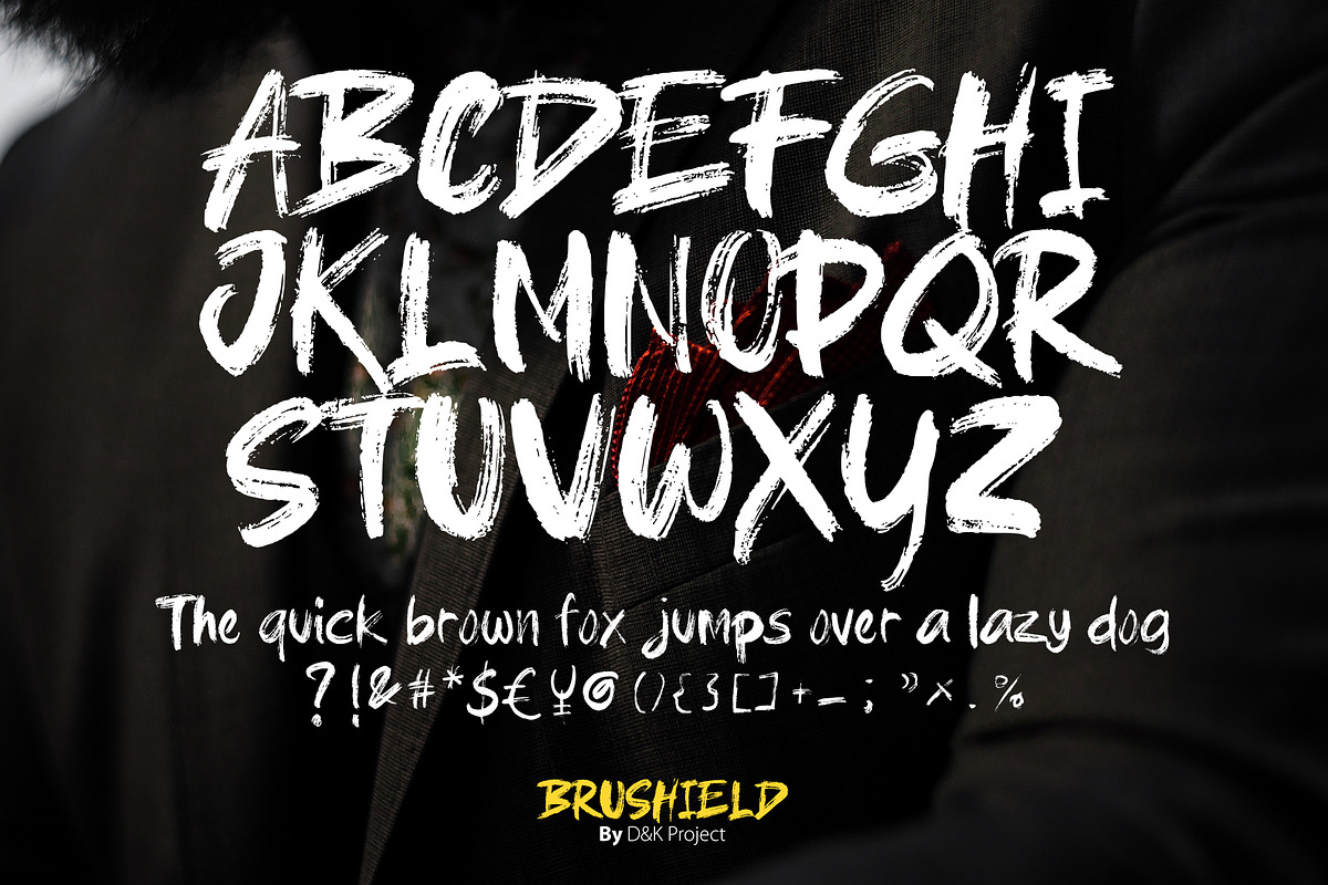 DnK Project BUNDLE, a Serif Font by D&K Project (Photo 23 of 24)