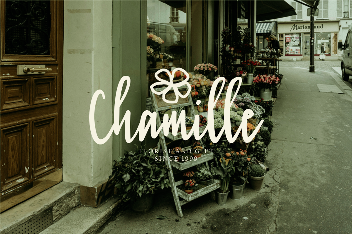 Roselyn Handwriting | A Modern Font