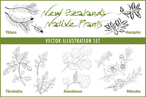 New Zealand Plants Vector Set