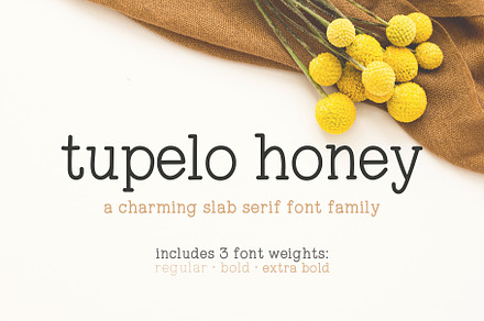 Tupelo Honey | A Charming Slab Serif, a Slab Serif Font by One Twenty Studio
