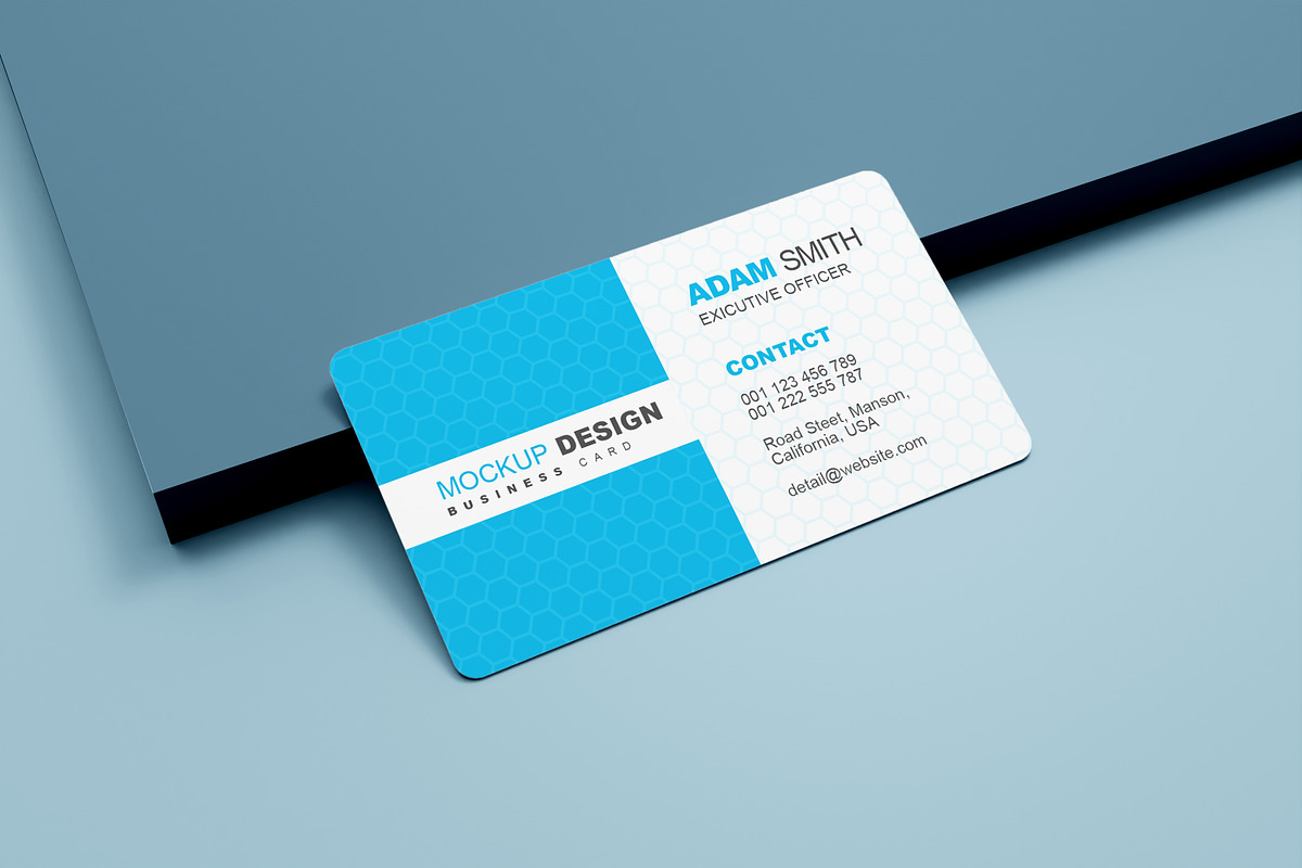 Round Business Card Mockups, an Advertising Mockup by alimran24 (Photo 6 of 12)
