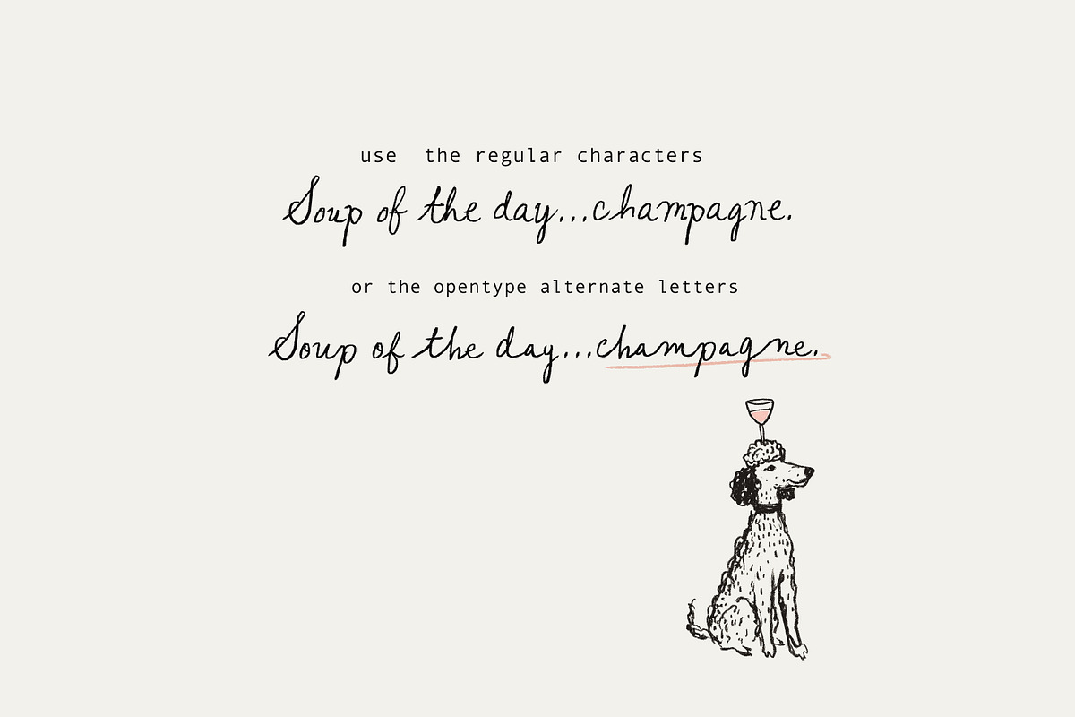 The Clumsy Cursive Font Set, a Handwritten Font by Nicky Laatz (Photo 8 of 18)