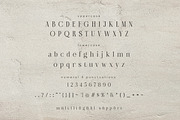 Amarieta Elegant Font, a Serif Font by Hishand Studio (Thumbnail 8 of 10)