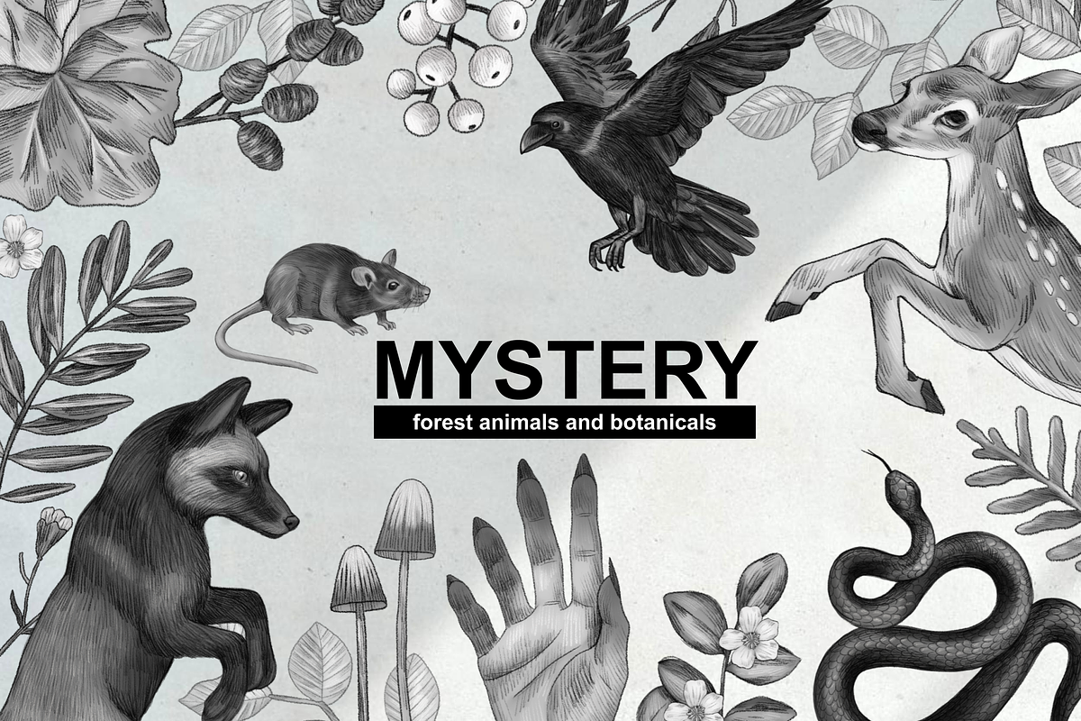 Mystery forest animals, leaves, an Animal Illustration by ARTMIRU (Photo 1 of 11)