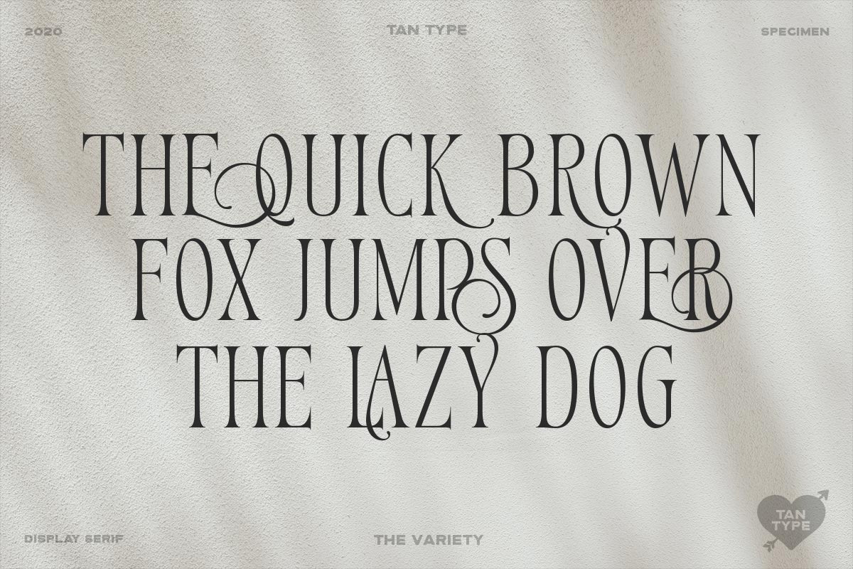 TAN - Variety, a Serif Font by TanType (Photo 2 of 26)