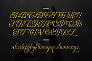 Nefaryth | Tattoo Font, a Script Font by Denustudios (Thumbnail 10 of 14)