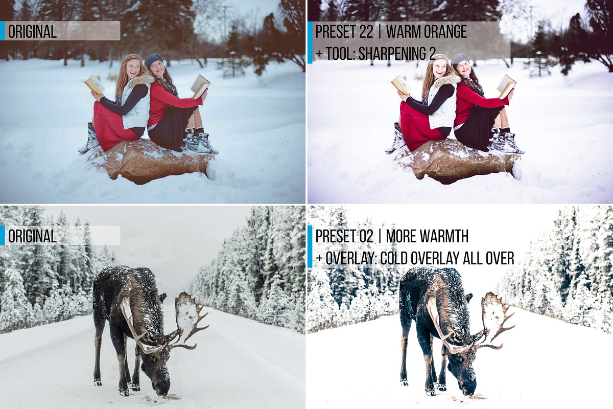 54 Winter Lightroom Presets preview 8