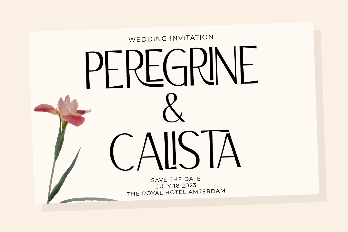 Cairoline, a Sans Serif Font by Muksal Creative (Photo 7 of 10)