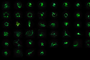 3 in 1 Fractal Light Overlays, a Texture Graphic by Abstract Background (Thumbnail 5 of 7)