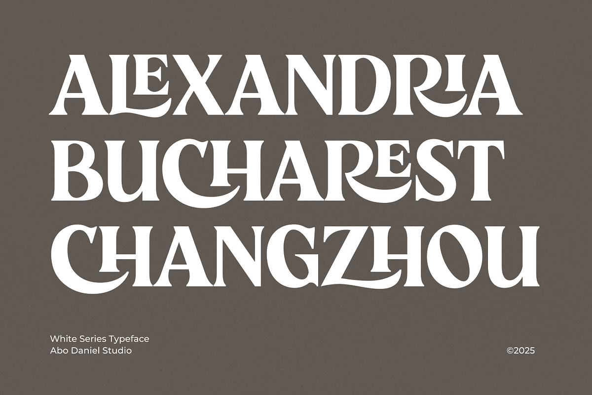 White Series, a Serif Font by Abo Daniel Studio (Photo 5 of 14)