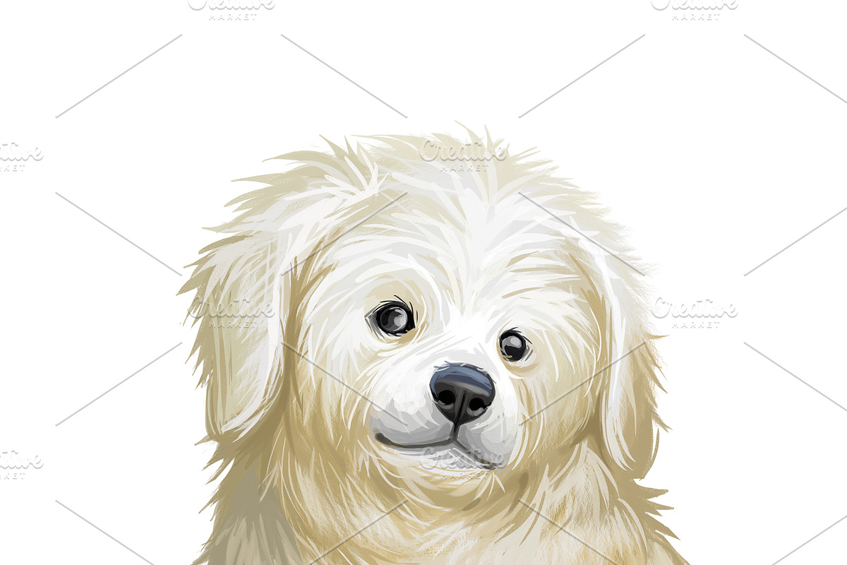 Puppies Dog Breeds Big Bundle 135Pcs, an Animal Illustration by Dneprstock (Photo 31 of 68)