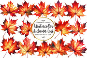 Watercolor Autumn Leaf Clipart, an Illustration by OK Design (Thumbnail 1 of 5)