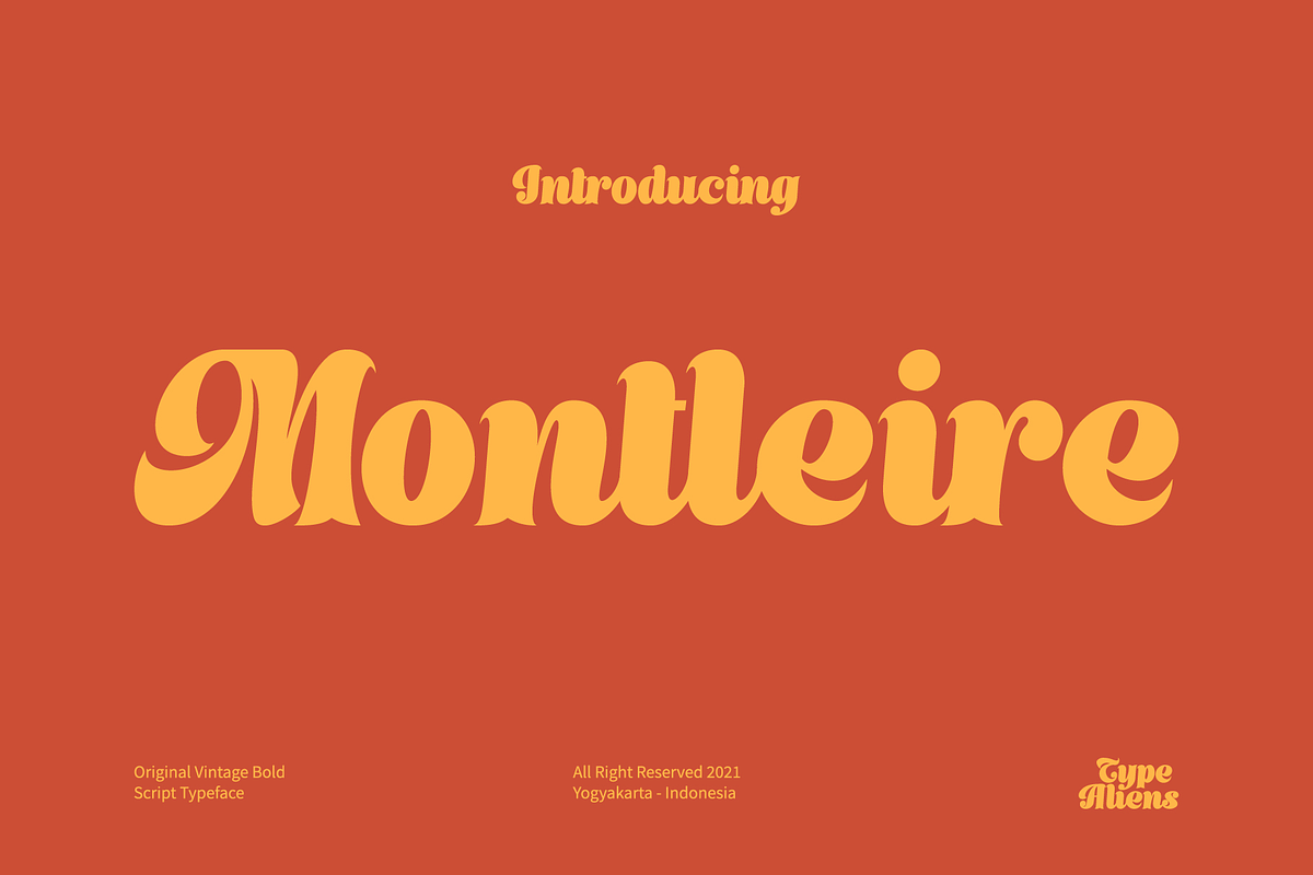 Montleire, a Serif Font by ilhamtaro (Photo 1 of 11)