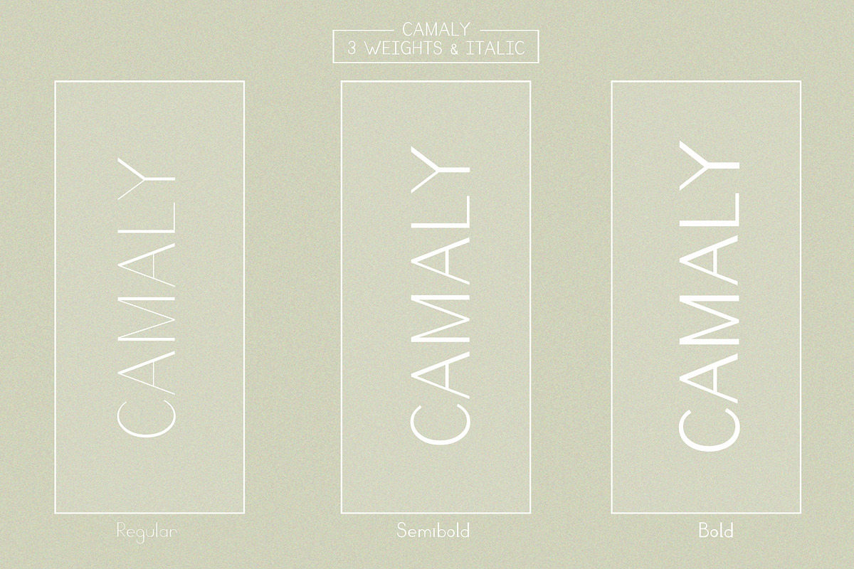 Camaly | san serif, a Sans Serif Font by white supply (Photo 5 of 5)