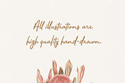 Watercolor boho collection, a Decorative Illustration by ViolettaKh (Thumbnail 9 of 14)