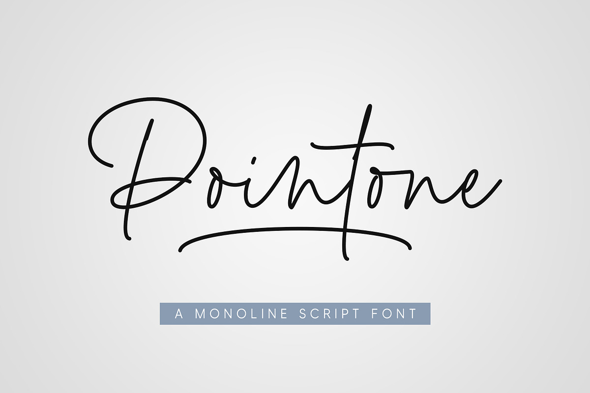 Pointone | Monoline Script, a Script Font by Lemonthe (Photo 1 of 6)