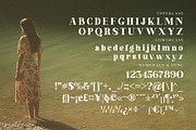 Aloka Gikairo Modern Serif Font, a Serif Font by Storytype Studio (Thumbnail 13 of 15)