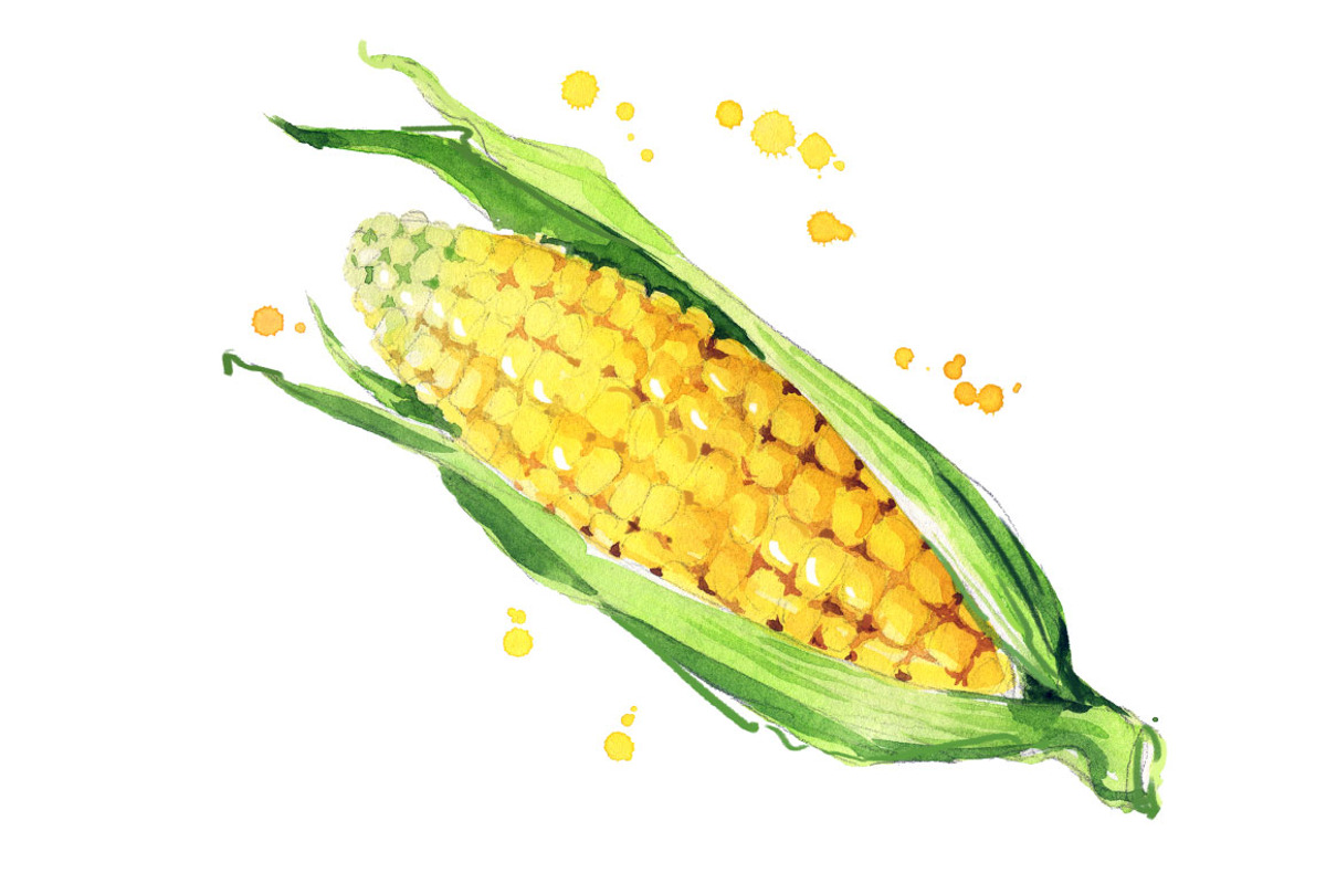 Set of yellow foods, watercolor, a Food Illustration by Kamenuka (Photo 2 of 4)