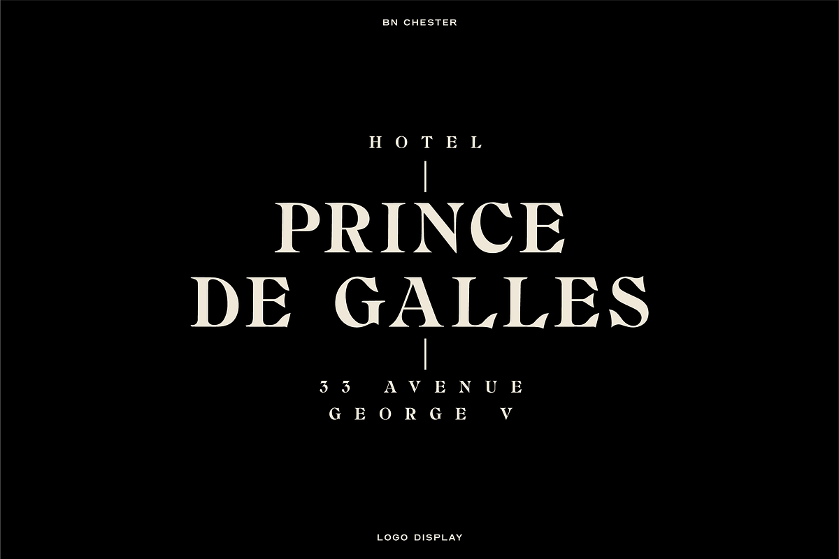 The Diverse Font Bundle, a Sans Serif Font by Bnick (Photo 10 of 34)
