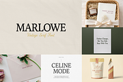 Old Money Luxury Font Collection, a Serif Font by gafaroff studio (Thumbnail 16 of 19)