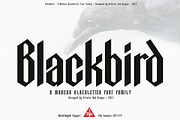 Blackbird - Blackletter font family, a Blackletter Font by Artistic & Unique (Thumbnail 1 of 16)