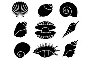 Sea shells, a Background Graphic by Stock-Smart-Start