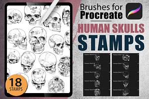 Procreate - Human Skulls Stamps