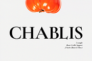 ZT Chablis - Classic serif, a Serif Font by zelow type (Thumbnail 1 of 15)