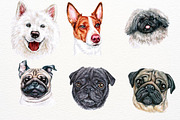 100+ Watercolor Dog Breeds - UPDATE, an Animal Illustration by ArtbyHien (Thumbnail 8 of 9)