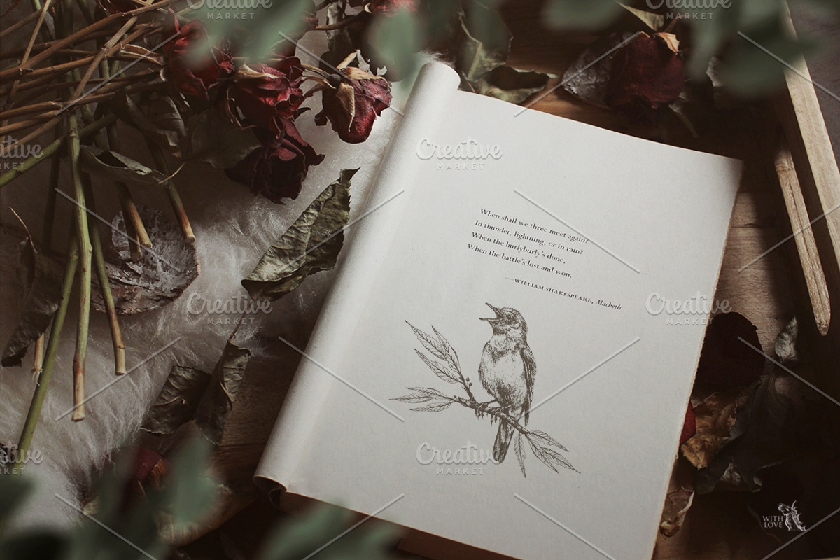 Nordic Birds Ink & Watercolor Set, an Illustration by Fluffy Unicorn (Photo 10 of 12)