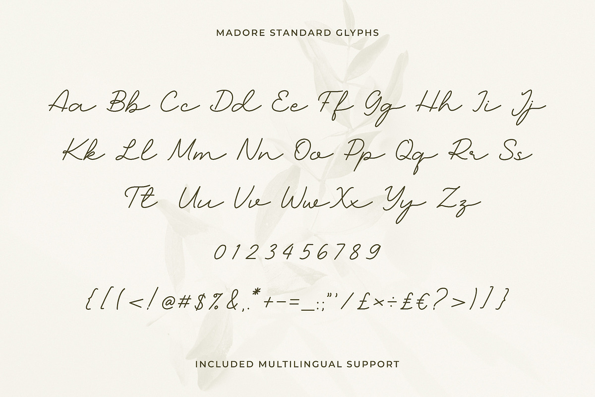 Madore Elegant Signature Script Font, a Handwritten Font by Heinzel Std (Photo 8 of 10)