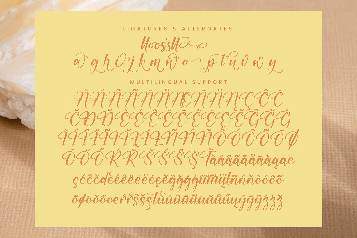 Routisan Darling, a Script Font by Integritype Studio (Photo 13 of 15)