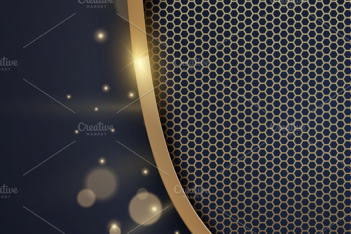Luxury Golden Shield With Metal Mesh, a Decorative Illustration by Black White Mouse Design (Photo 2 of 3)