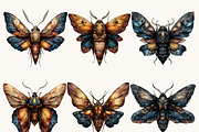 Mystical Moth Clipart Bundle, an Object Illustration by Design Scotch (Thumbnail 5 of 9)