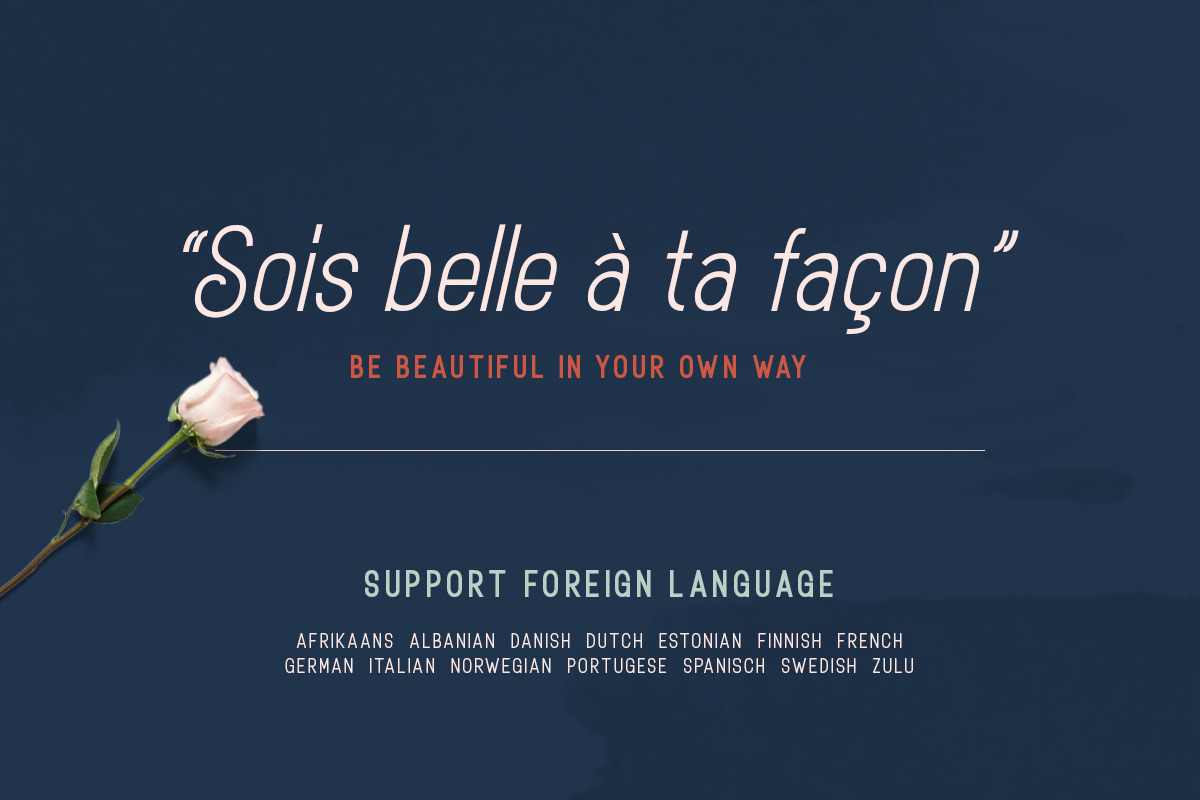 Rotrude Sans (16 FONTS) - 40% OFF preview 5